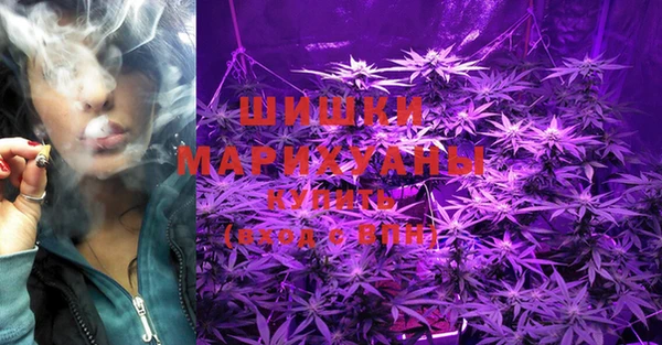 ГАЛЛЮЦИНОГЕННЫЕ ГРИБЫ Абдулино