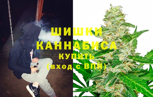 ГАЛЛЮЦИНОГЕННЫЕ ГРИБЫ Абдулино