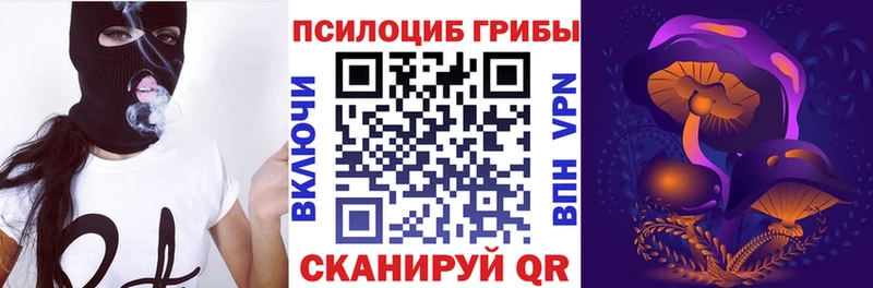 купить  сайты  Касли  darknet Telegram  Псилоцибиновые грибы ЛСД 